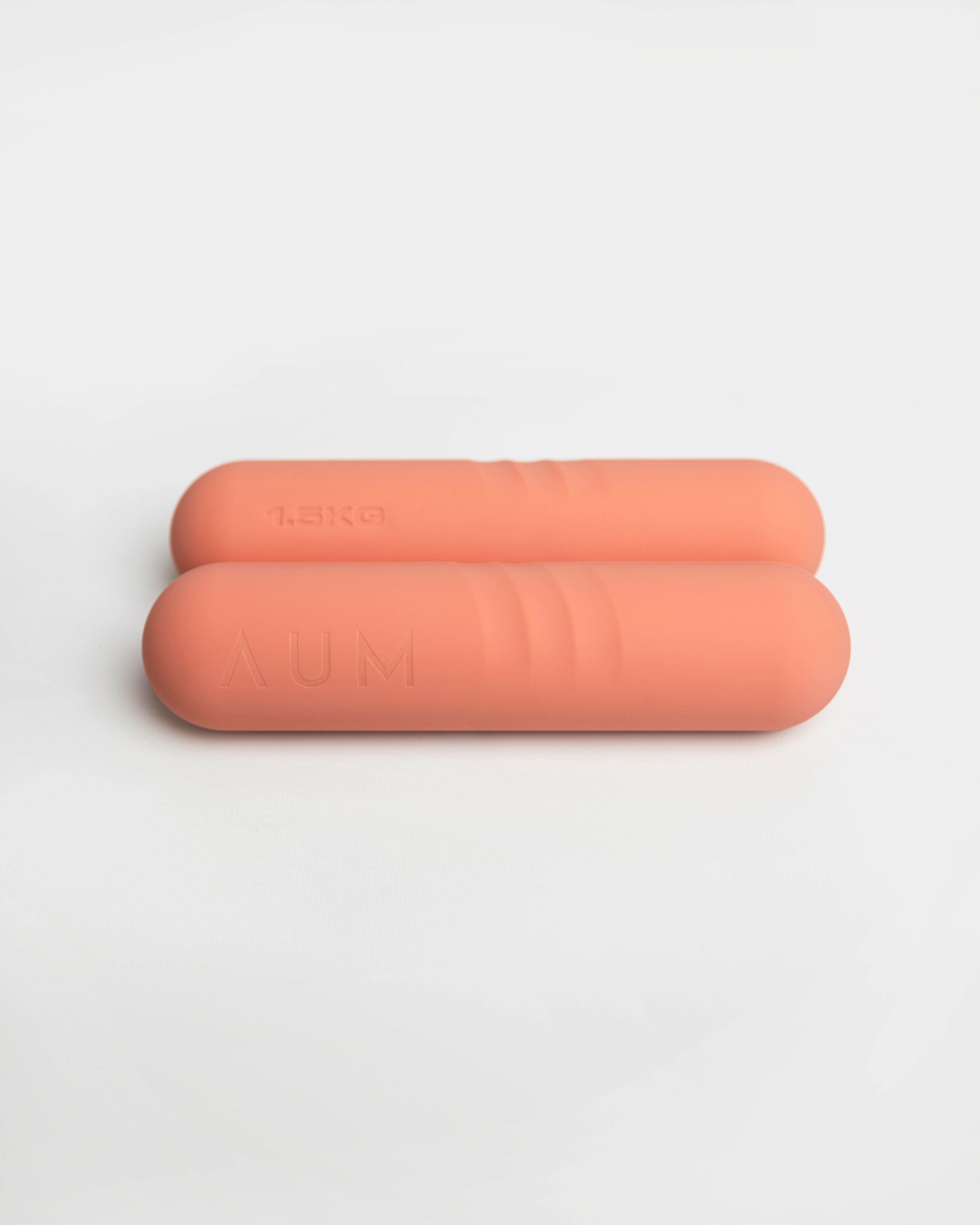 The AUM Hand Weights, Dusty Pink